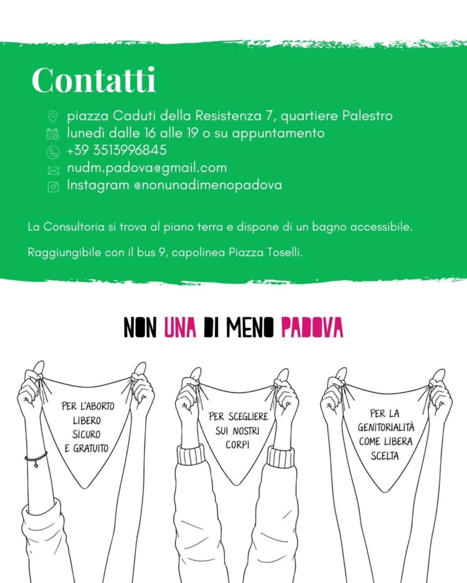 Immagine 6