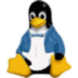 Pinguino Linux